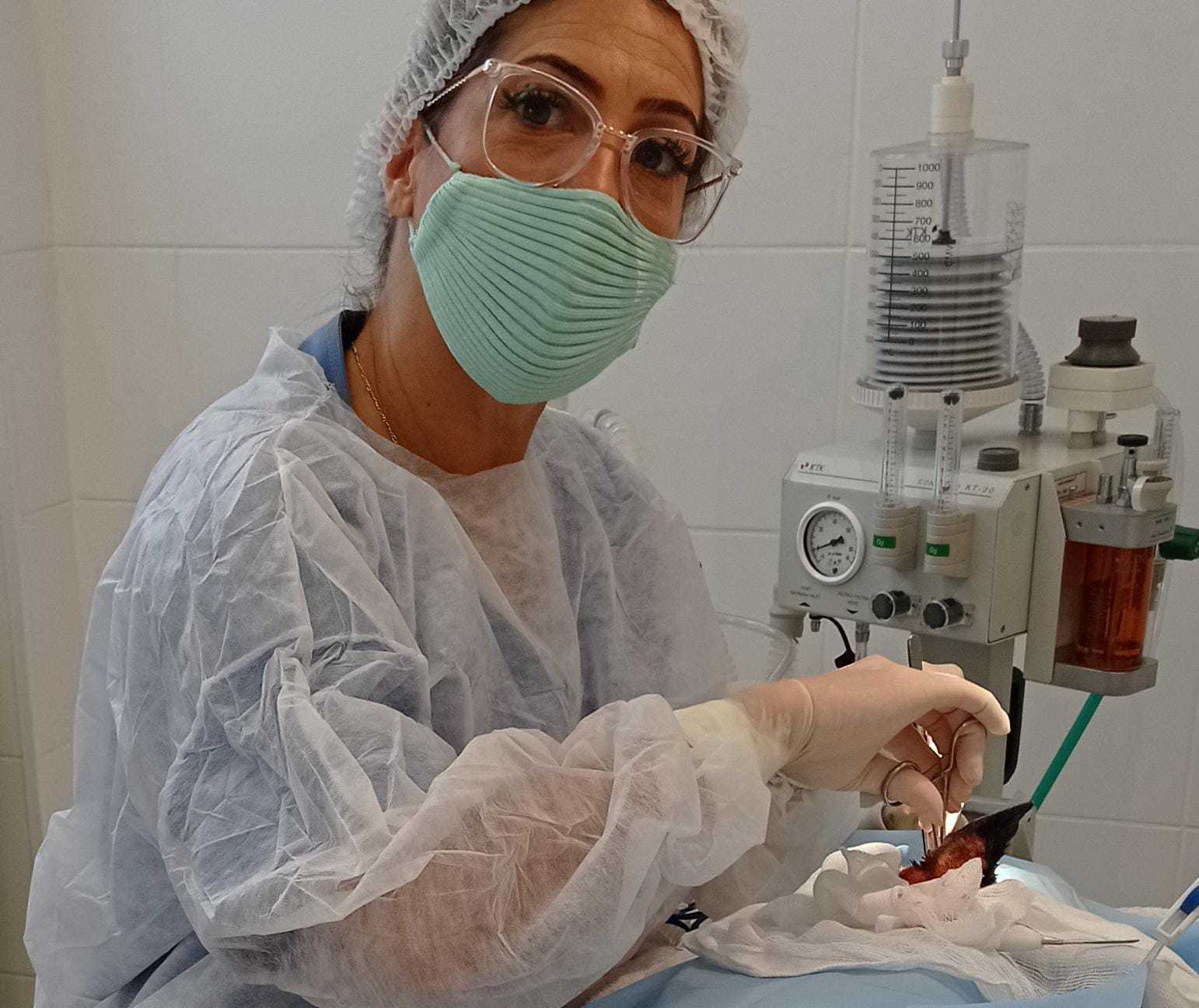 Cirurgia de Tecidos Moles Landing Image